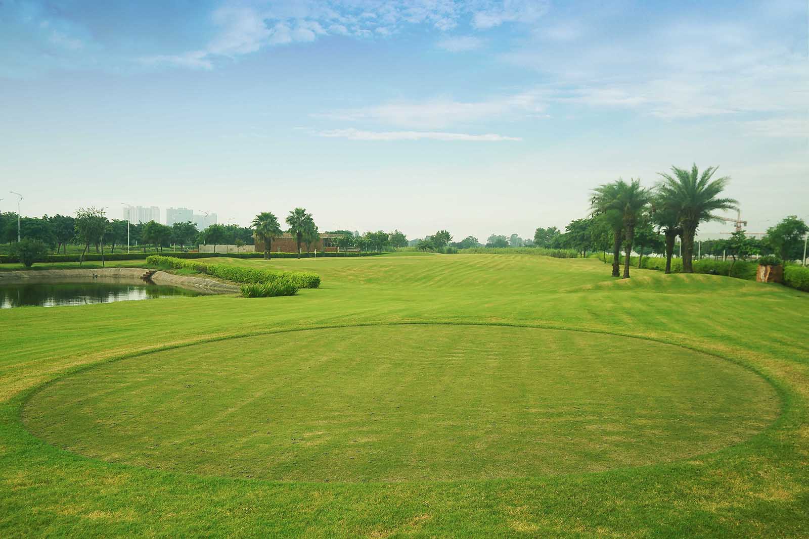 Lush Green Fairways